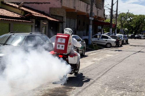 São Gonçalo continúa con acciones para eliminar el Aedes aegypti