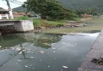 Ministério Público notifica Niterói para que adotem medidas para a preservação e recuperação da Lagoa de Piratininga 