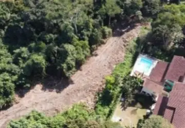 Moradores denunciam desmatamento e prejuízo ao habitat de animais em condomínio de Niterói