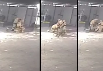 Policiais brigam e são atacados por cães durante disputa relacionada à folga da Páscoa