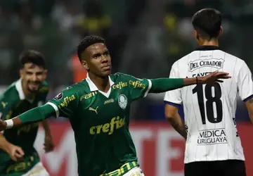 Palmeiras conquista a vitória em casa e assume a liderança do Grupo F da Libertadores