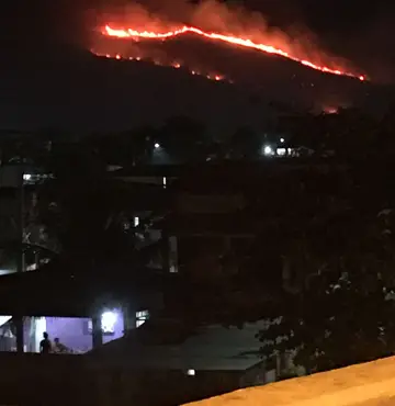Incêndio atinge região de mata na Praia da Luz, próximo ao Salgueiro 