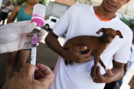 São Gonçalo realiza vacinação antirrábica neste sábado