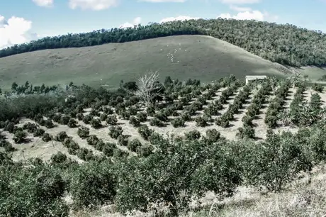 Produtores rurais de Itaboraí começam a receber análises de solo após mais de 40 anos
