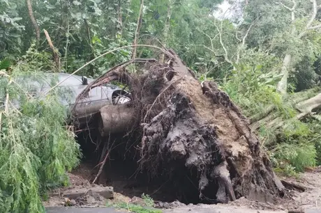 Temporal derruba árvores e destrói carros em Niterói