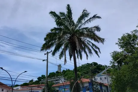 Final de semana será marcado por chuva e trovoada em São Gonçalo