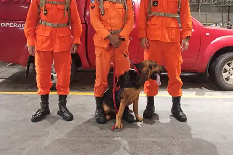 Cadela de resgate do Corpo de Bombeiros do Rio parte para colaborar nas busca pelos fugitivos da penitenciária de Mossoró