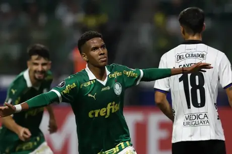Palmeiras conquista a vitória em casa e assume a liderança do Grupo F da Libertadores